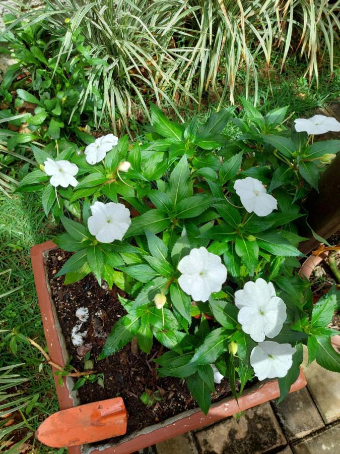 Pousada Luar Chapada dos Guimarães Eksteriør bilde